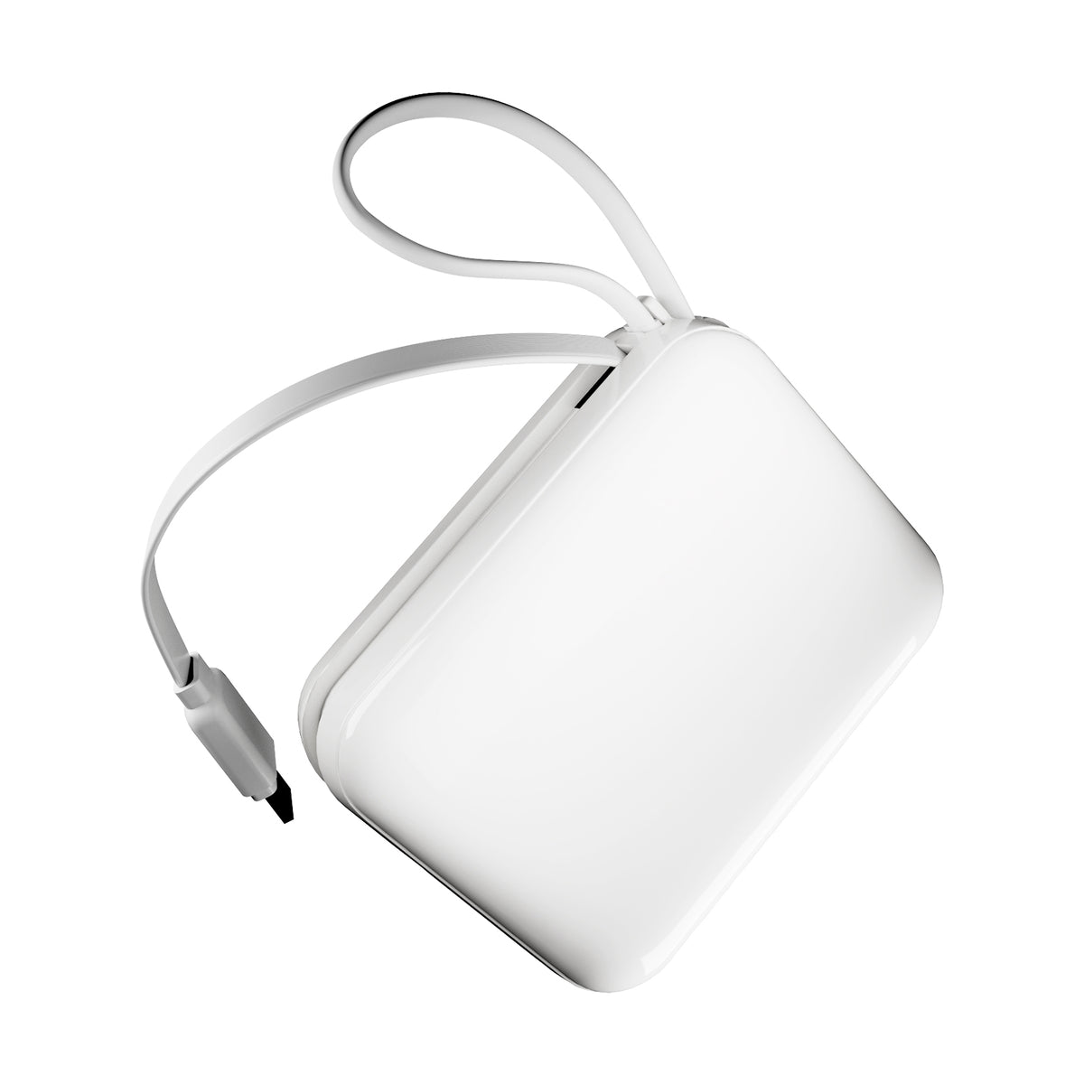 Power bank 10000 mAh 20W LCD Power Duo 10, con cavi integrati e display